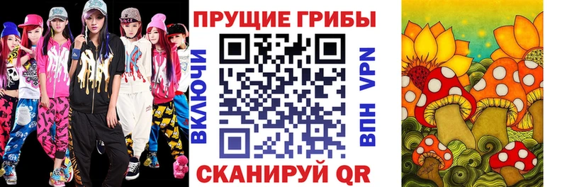 Галлюциногенные грибы ЛСД  Новая Ладога 