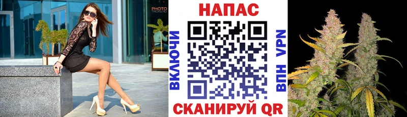 Канабис SATIVA & INDICA  Новая Ладога 